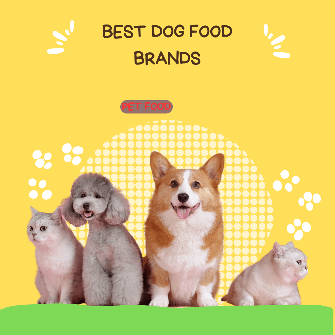 Best Dog Food Brands