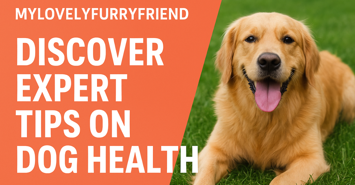 mylovelyfurryfriend discover expert tips on dog health